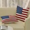 18x18 Pack of 2 Throw Pillow Cover for 4th of July Decorations
